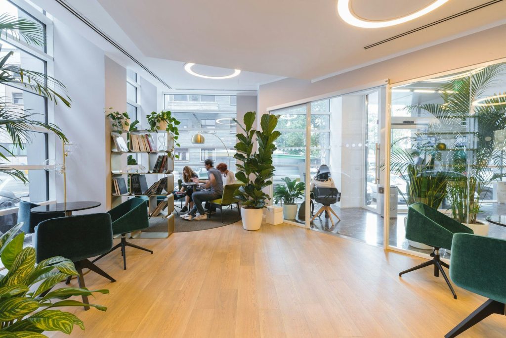 Espace d’accueil avec fauteuils et plantes