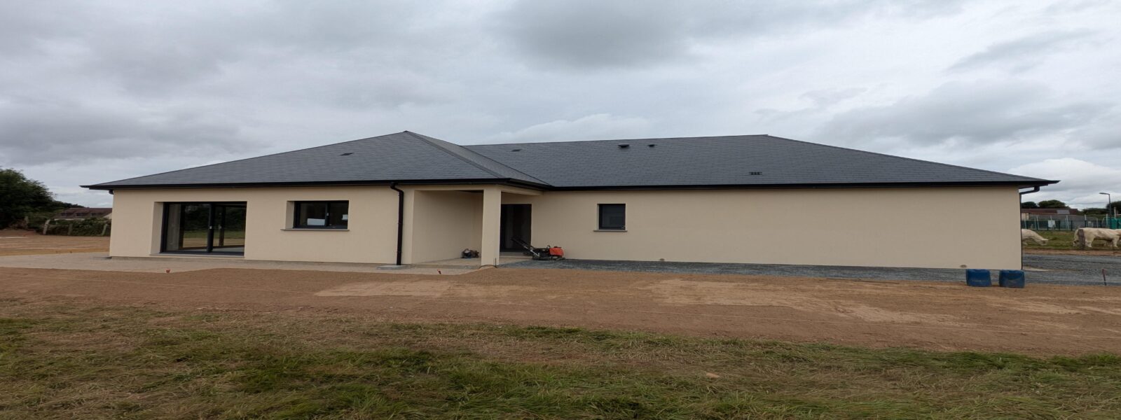 PXL_20250729_110845970 (1).jpg